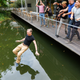 Nobel Laureate Svante Pääbo about to fall into water in Leipzig, Germany.